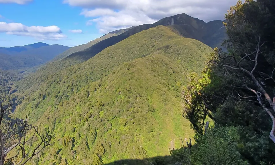 Herepai & Roaring Stag Huts, Manawatu - Wanganui