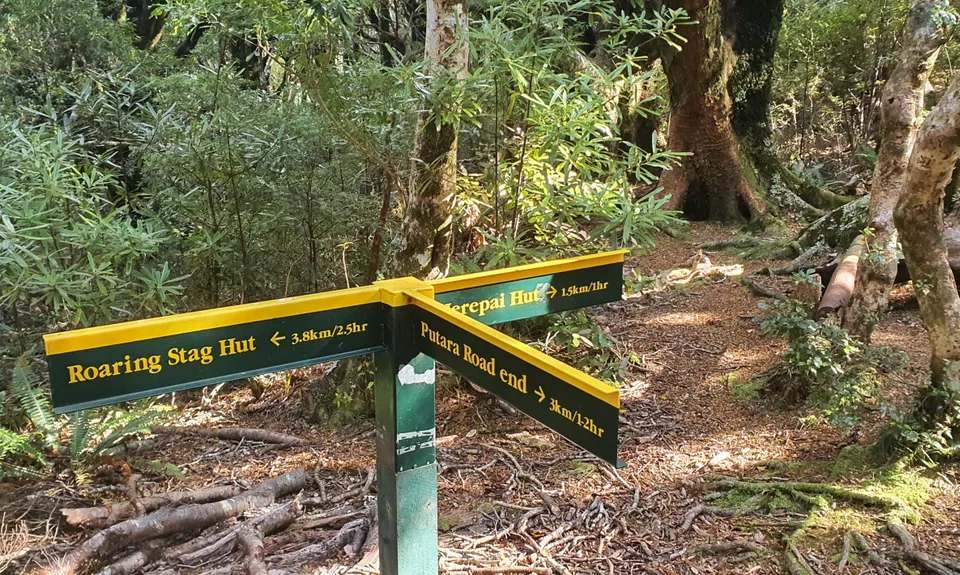 Herepai & Roaring Stag Huts, Manawatu - Wanganui
