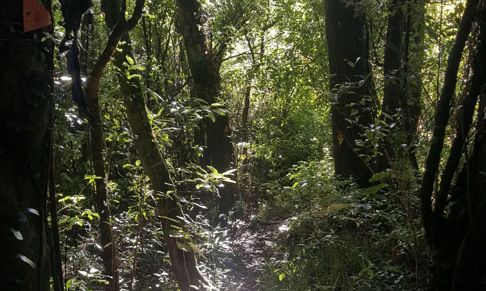 Maungatautari Mission, Waikato