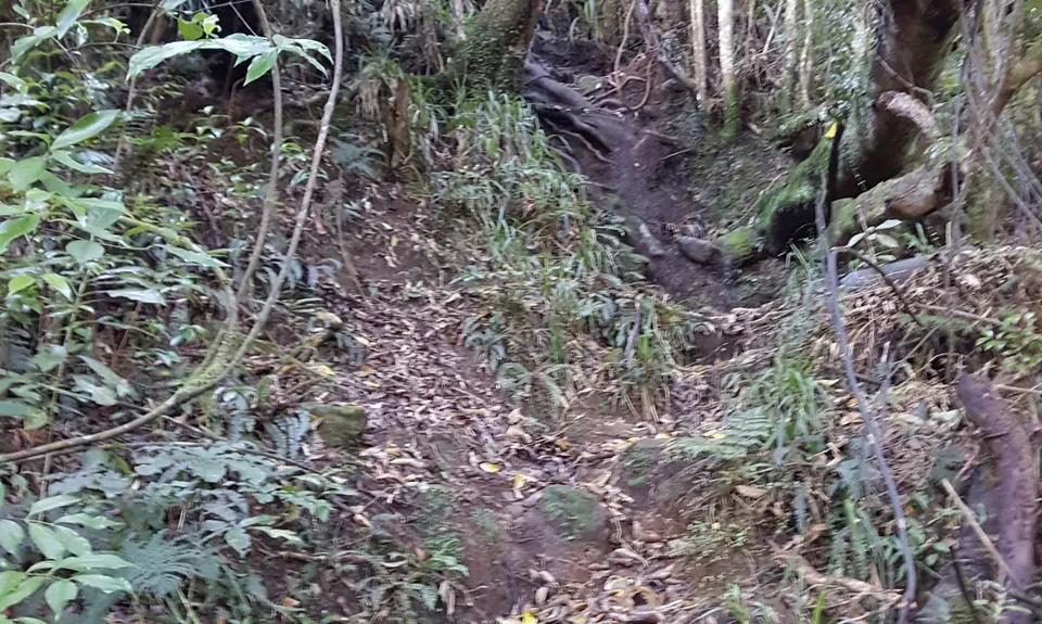 Maungatautari Mission, Waikato