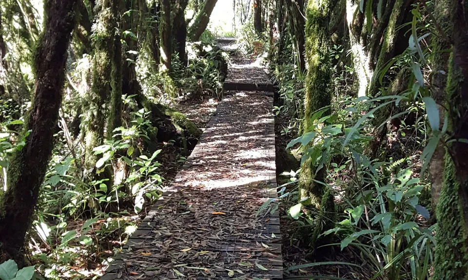Maungatautari Mission, Waikato