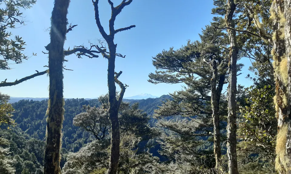 Atene Skyline Track, Manawatu - Wanganui