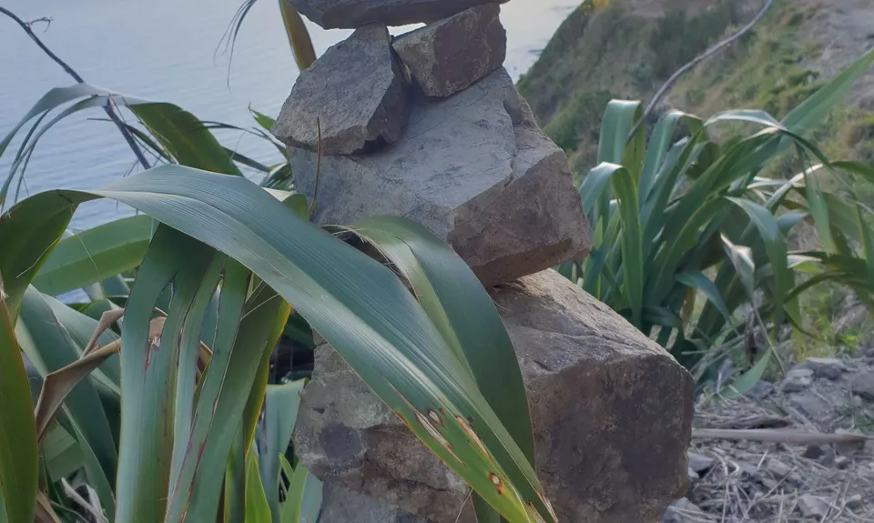 Escarpment Track, Wellington
