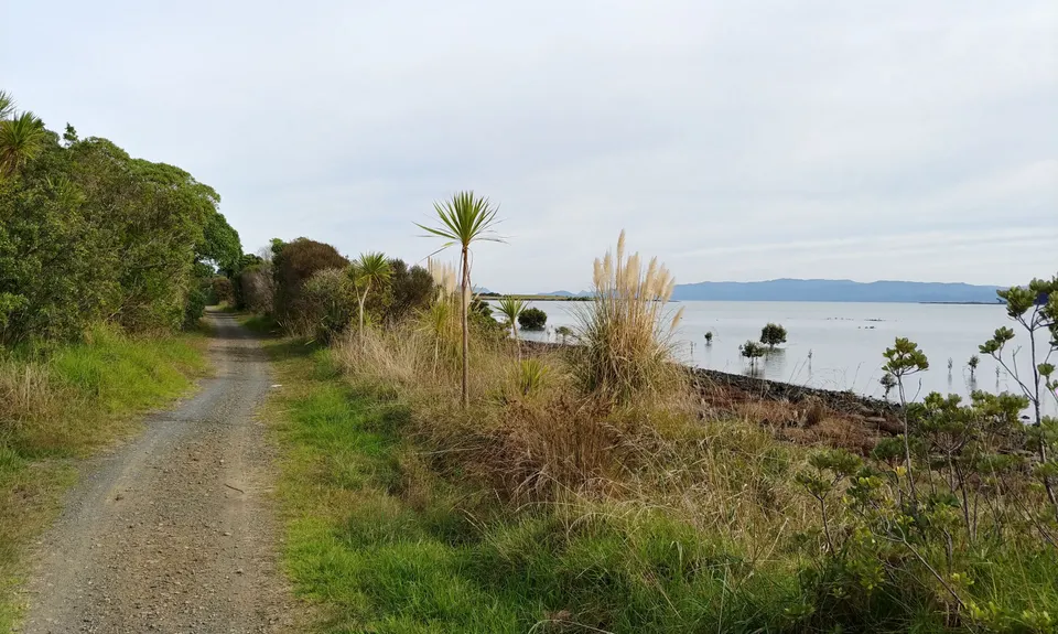 Watercare Coastal Walkway, Auckland