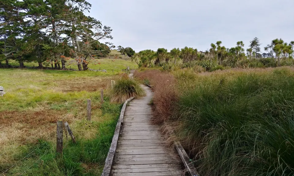 Watercare Coastal Walkway, Auckland