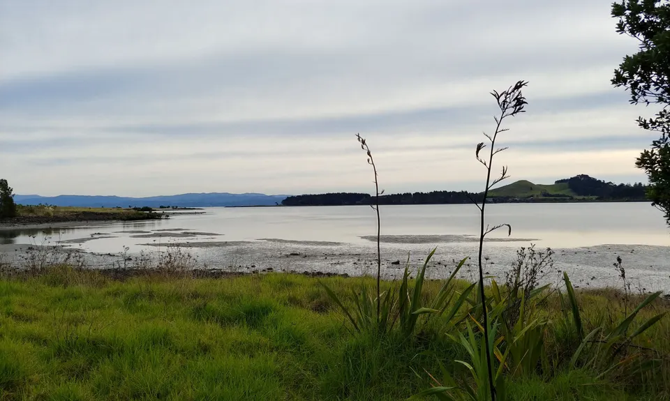 Watercare Coastal Walkway, Auckland