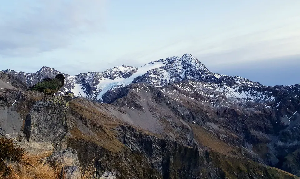 Avalanche Peak, Canterbury