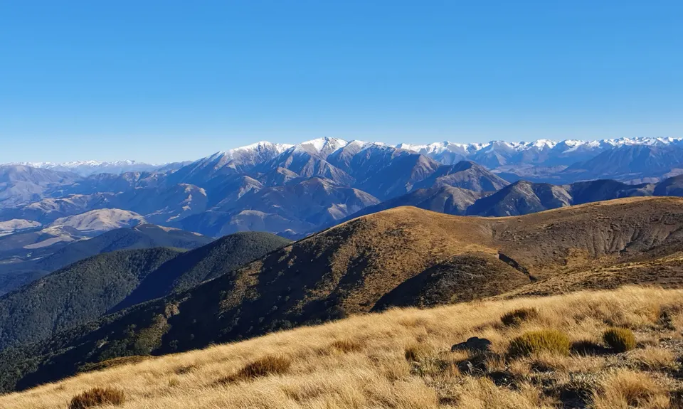 Mt Oxford Half, Canterbury