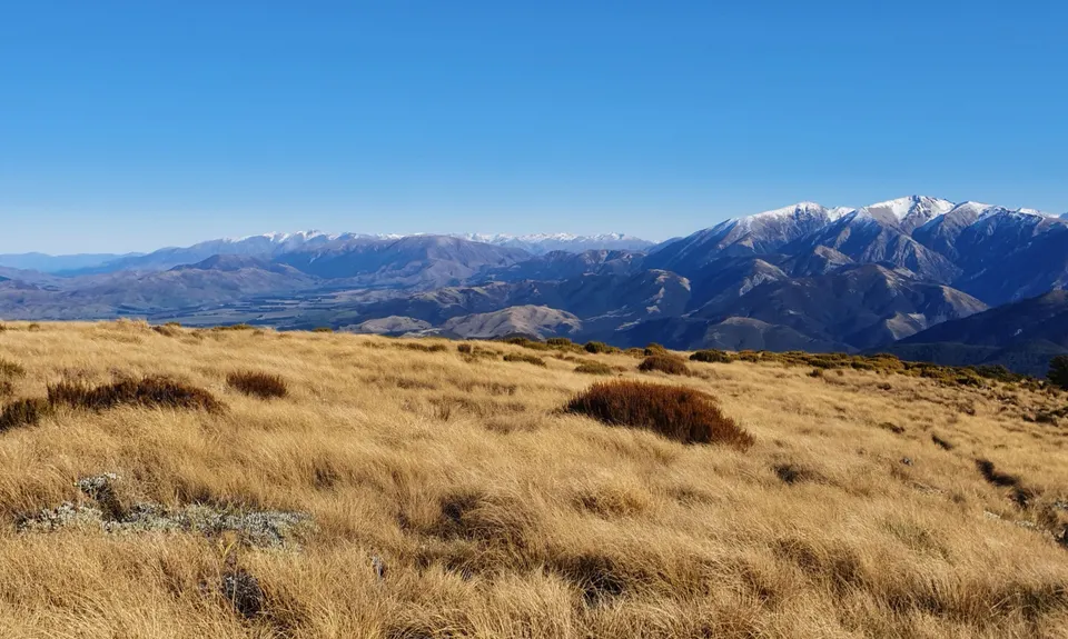 Mt Oxford Half, Canterbury