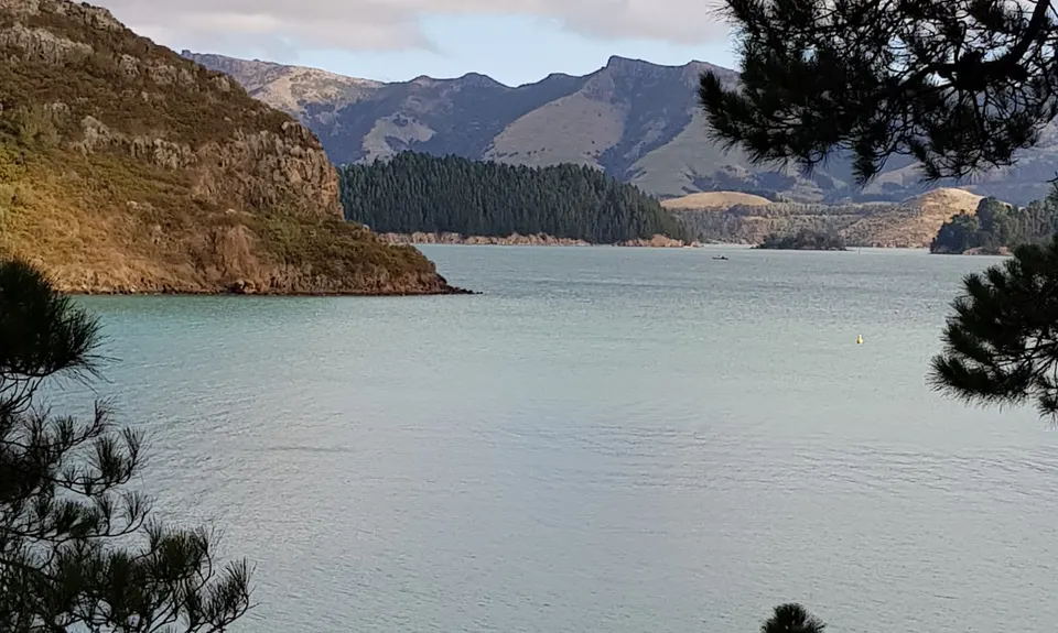 Coastal Cliff Candy, Canterbury