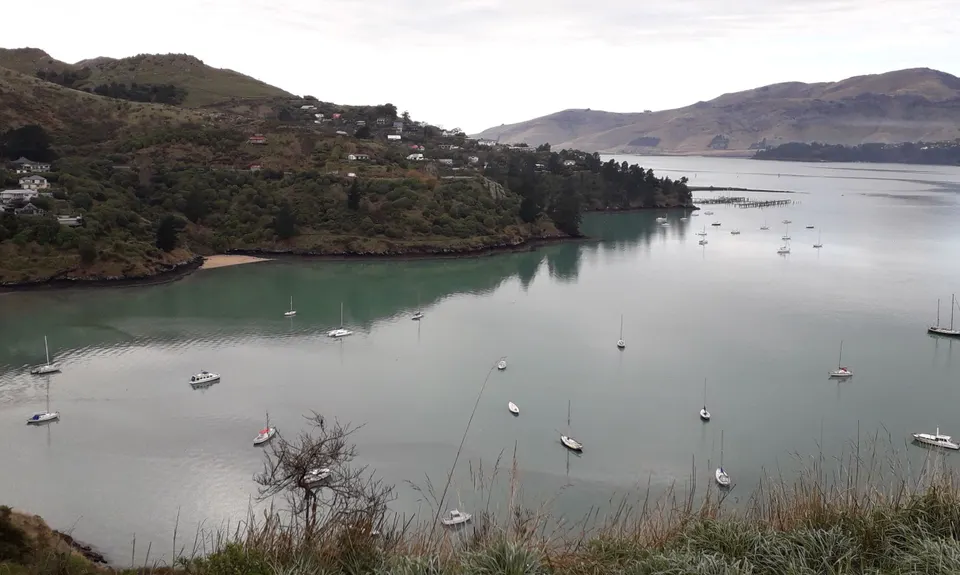 Dog Sniffing Rhythms - Harbour Crusin', Canterbury