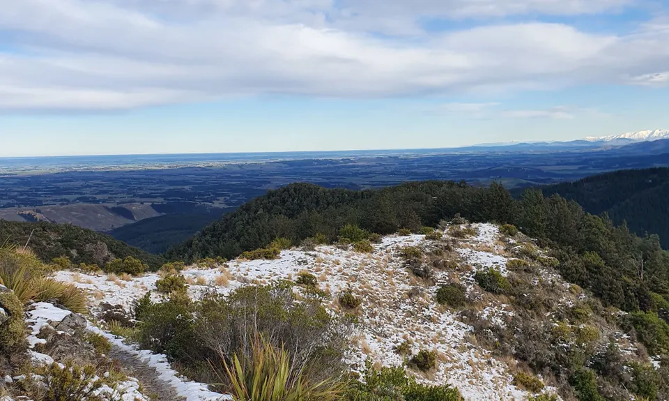 Mt Grey, Canterbury