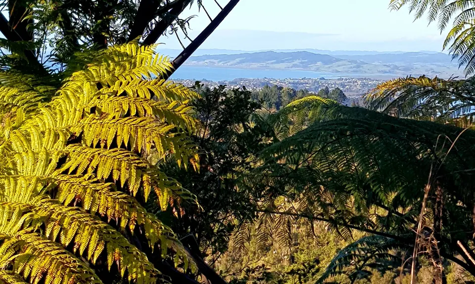 Parihaka Hatea Loop, Northland