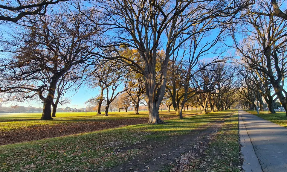 Hagley Figure of 8, Canterbury