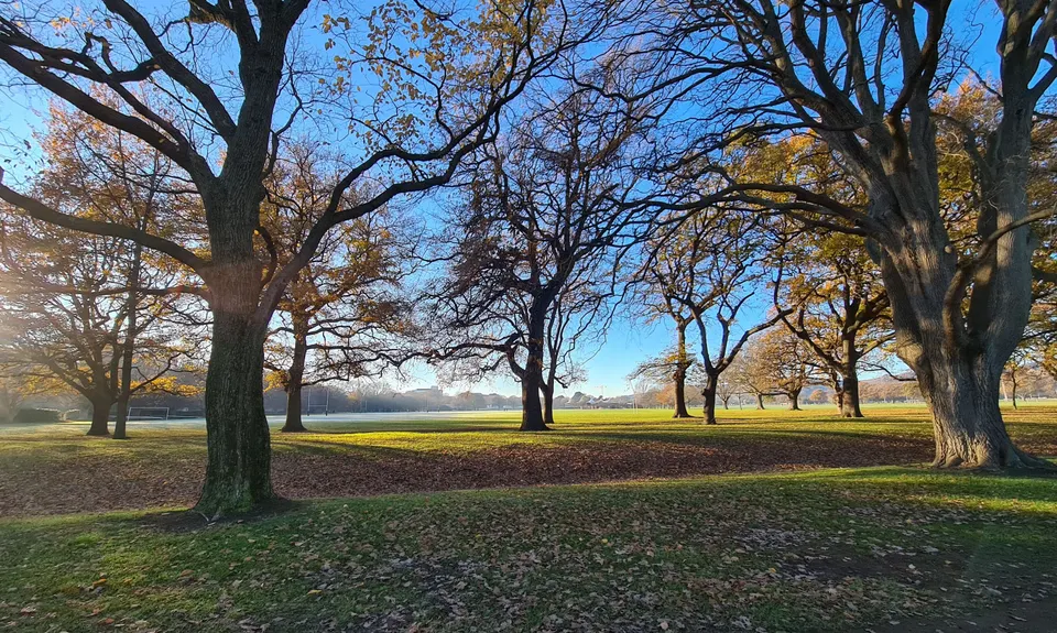 Hagley Figure of 8, Canterbury