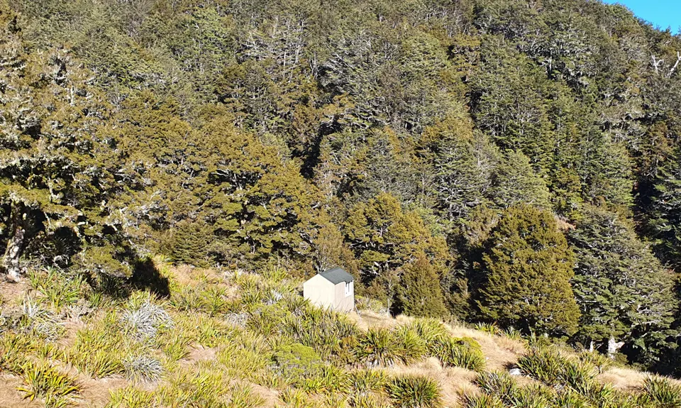 Mole Jamieson Loop, Tasman