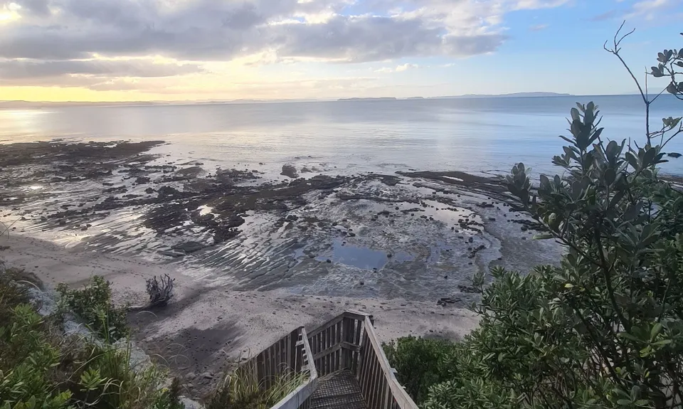 Gulf Harbour Tiki Tour, Auckland