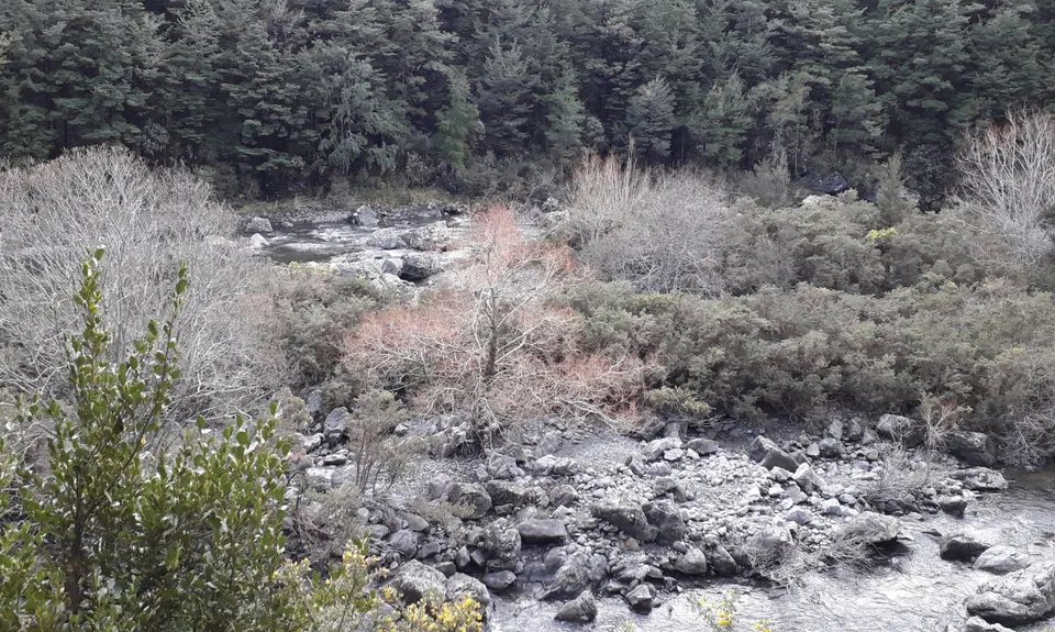 Pinchgut Hut, Canterbury