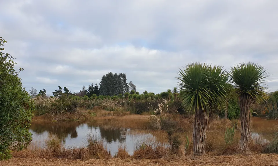 Nan and Gramps, Southland