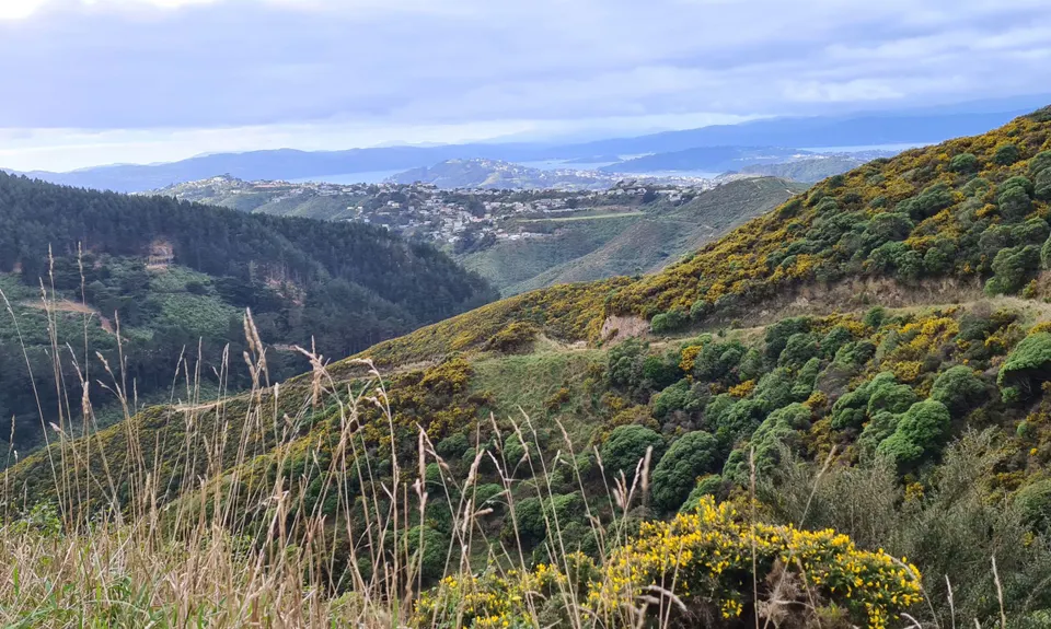Red Rocks Loop, Wellington