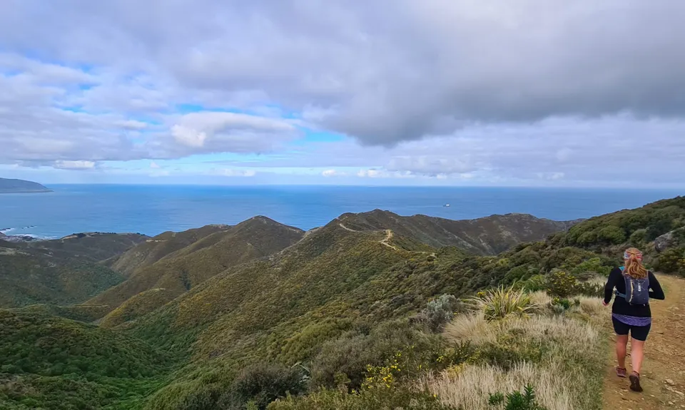 Red Rocks Loop, Wellington
