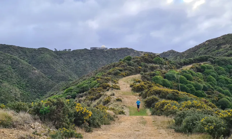 Red Rocks Loop, Wellington