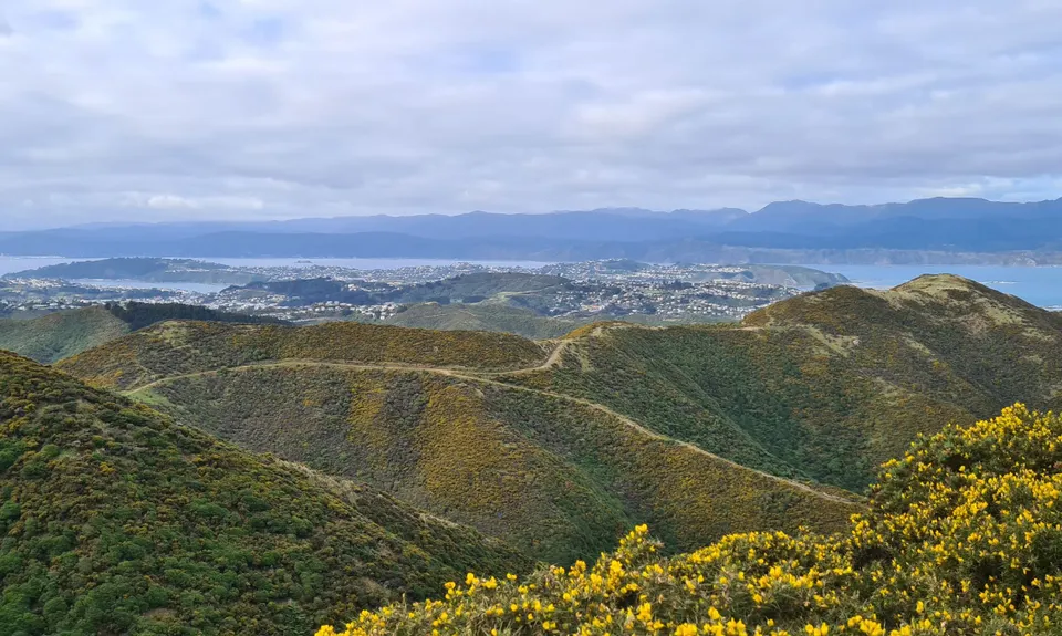 Red Rocks Loop, Wellington