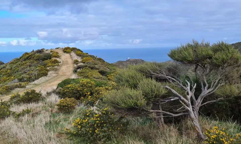 Red Rocks Loop, Wellington