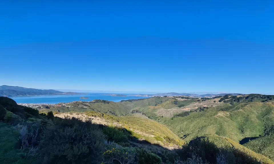 Belmont Tadpole Loop, Wellington