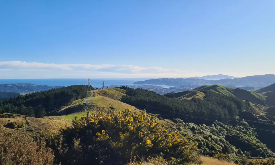 Belmont Tadpole Loop, Wellington