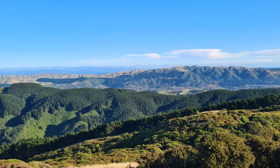 Belmont Tadpole Loop, Wellington