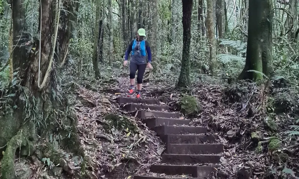 Belmont Tadpole Loop, Wellington