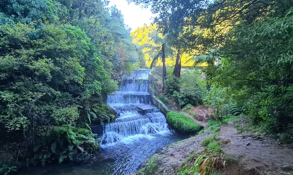 Belmont Tadpole Loop, Wellington