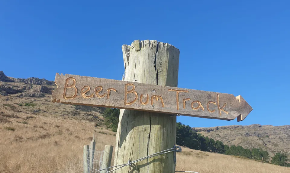 Beer Bum Bluffs, Canterbury