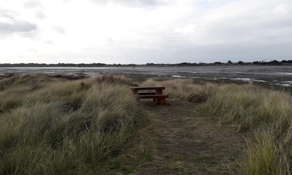 Brooklands for the Birds., Canterbury