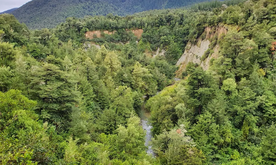 Double Mt Grey, Canterbury