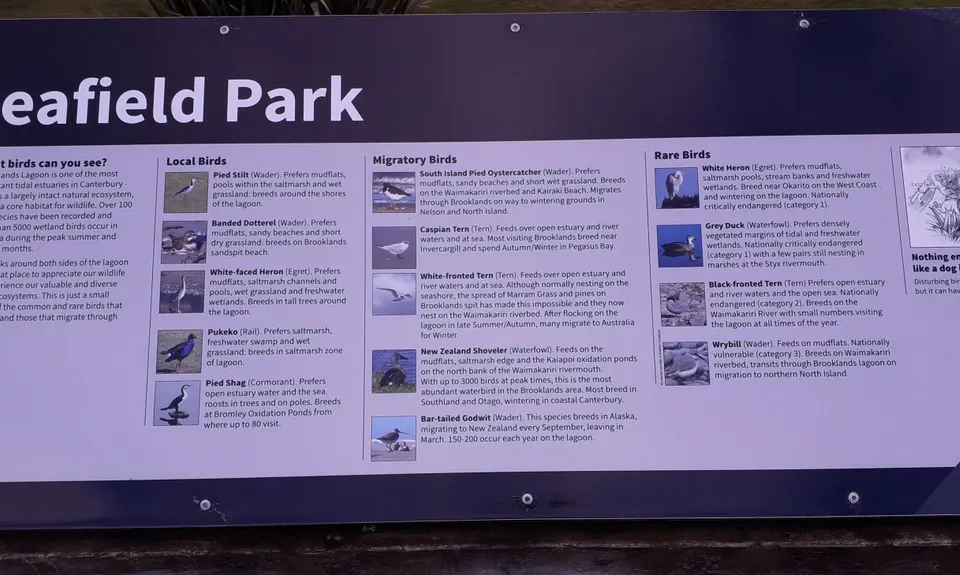 Brooklands for the Birds., Canterbury