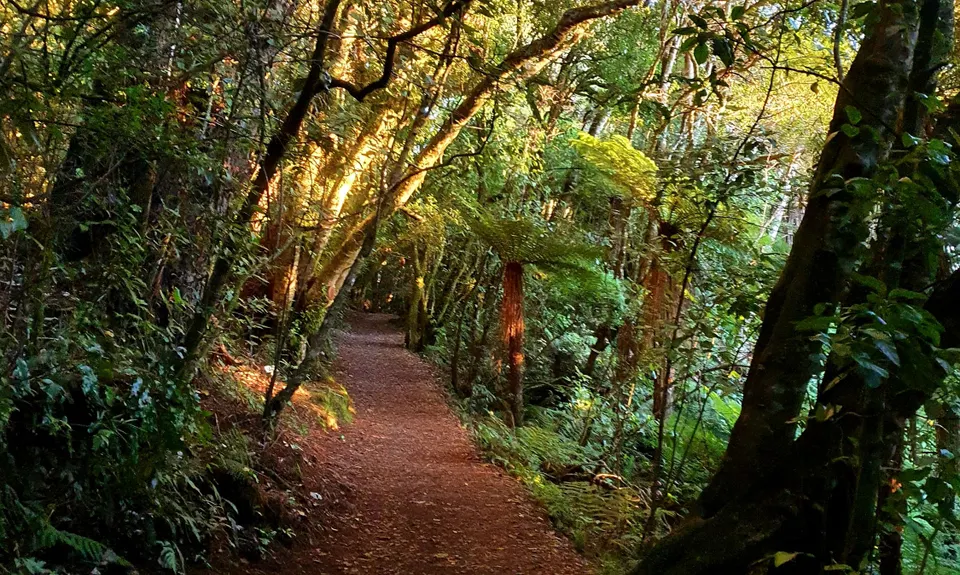 Lake Rotopounamu, Waikato