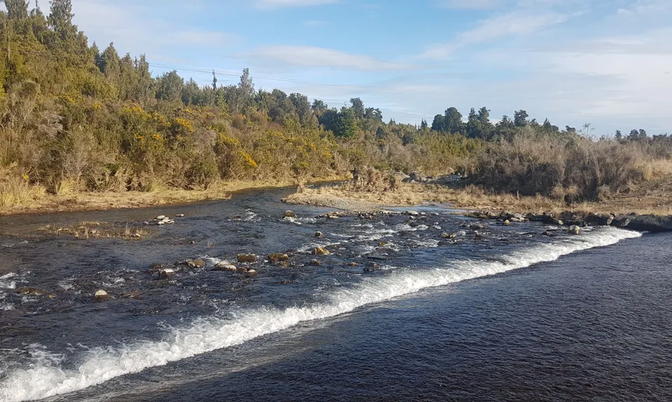 Kawhaka Magic, West Coast