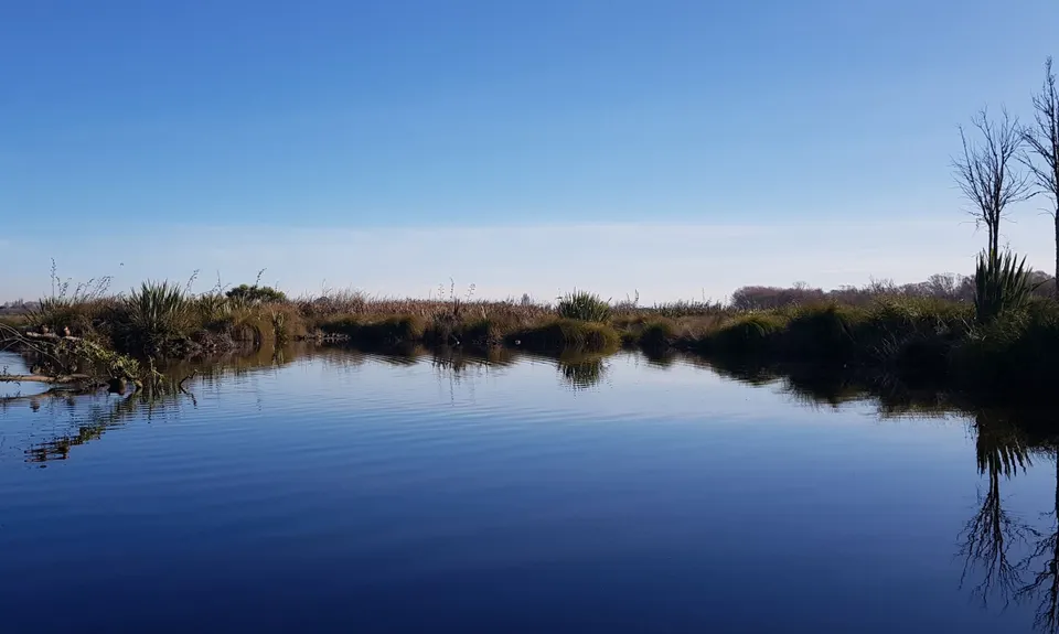 Travis Wetland Loop, Canterbury