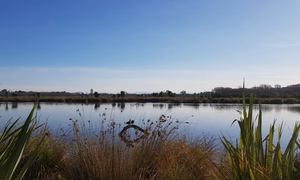Travis Wetland Loop, Canterbury