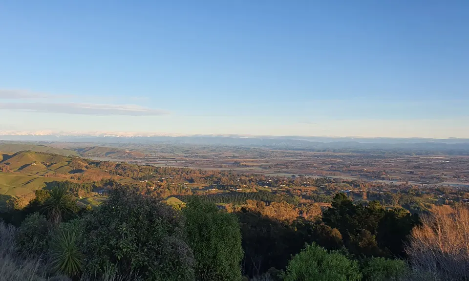 You say Tomato, I say Te Mata, Hawkes Bay