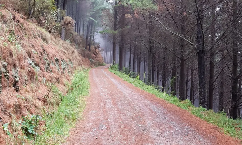 Involution Loop, Nelson