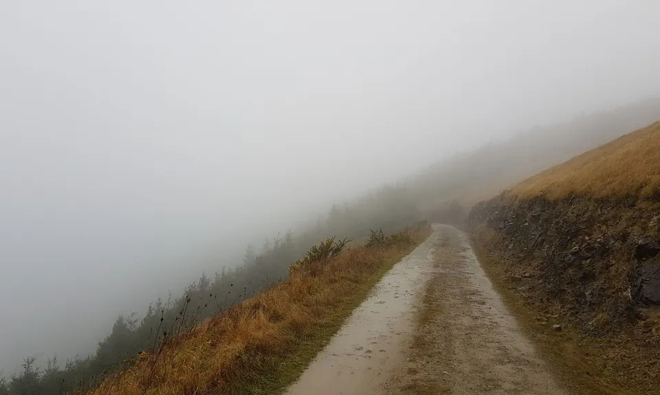Involution Loop, Nelson