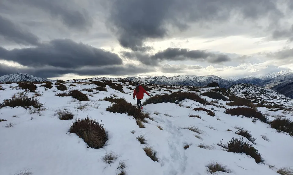 Mt Dumblane, Canterbury