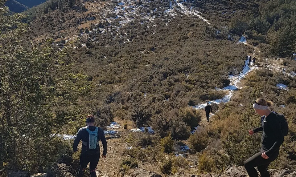 Mt Richardson Rippa, Canterbury