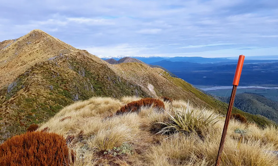 Mt French, West Coast