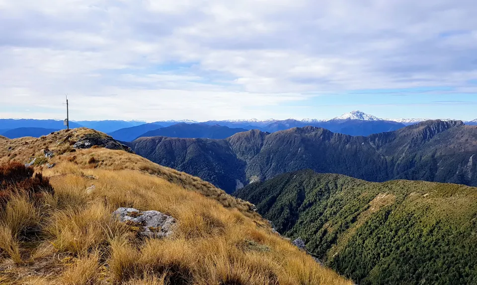 Mt French, West Coast