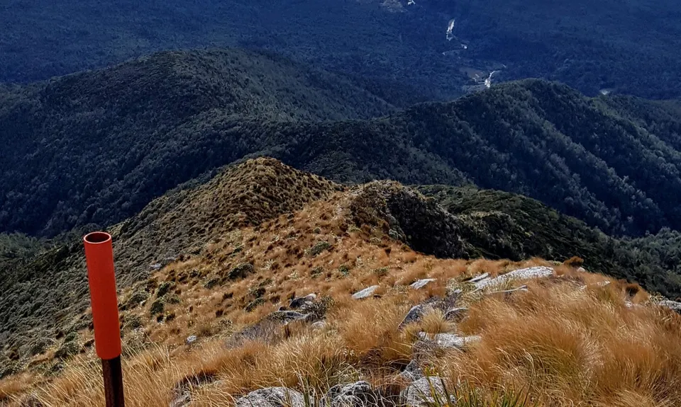 Mt French, West Coast