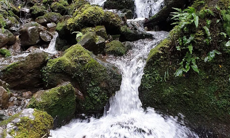 Dobson Loop, Wellington